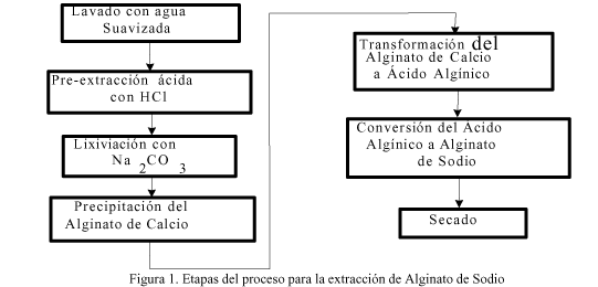 Alginato de Sodio  Quimica Industrial